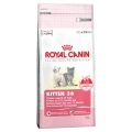 Royal Canin Kitten 36 kassipojatoit, 10 kg